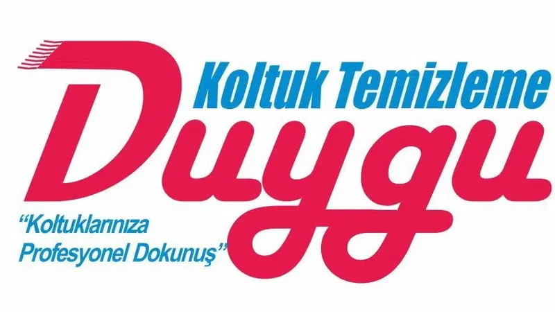 Duygu Koltuk Temizleme - Photo 3