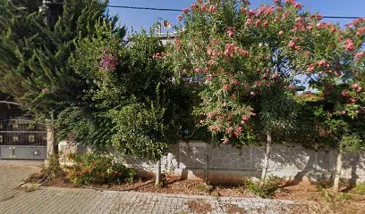 Döşemealtı Herbalife - Photo 1