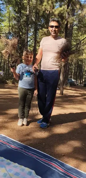 Döşemealtı Piknik Alanı - Photo 4
