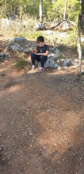 Döşemealtı Piknik Alanı - Photo 5