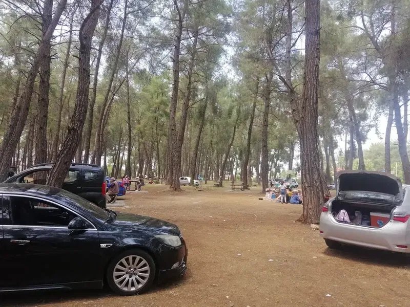 Döşemealtı Piknik Alanı - Photo 6