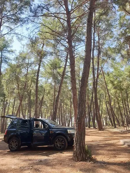 Döşemealtı Piknik Alanı - Photo 10