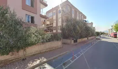 Dünya erkek küaförü
