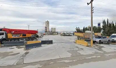 Dünya Tarim