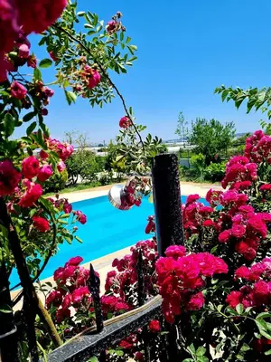 Eczacı Konağı