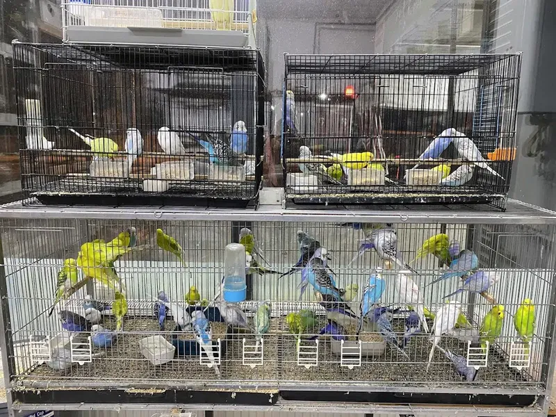 Efe Petshop - Photo 2
