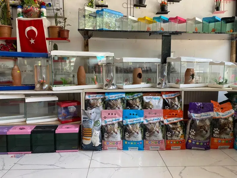 Efe Petshop - Photo 4