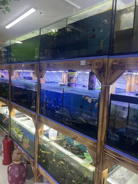 Efe Petshop - Photo 7