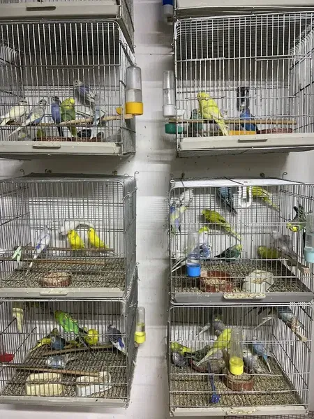 Efe Petshop - Photo 8
