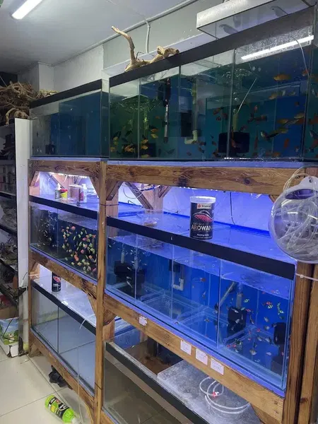 Efe Petshop - Photo 10