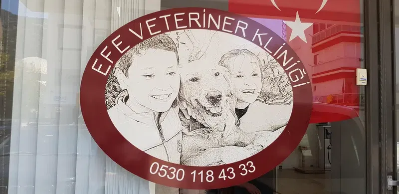EFE Veteriner Kliniği - Photo 8