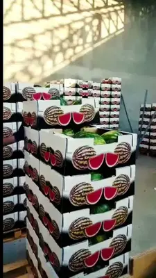 Efe'Nin Çi̇ftli̇ği̇