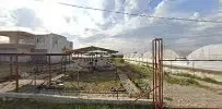 EFEOĞLU ÇİFTLİĞİ (arif kır) - Photo 5