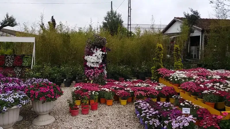 Eflatun Peyzaj - Photo 2