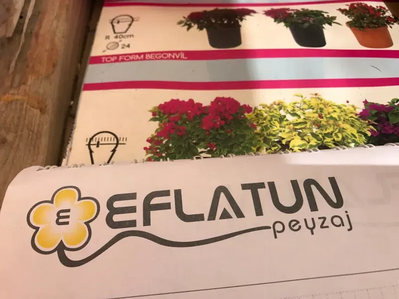 Eflatun Peyzaj - Photo 3