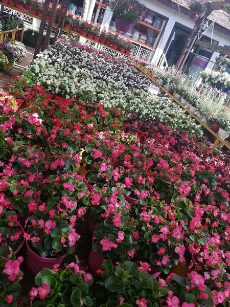 Eflatun Peyzaj - Photo 5