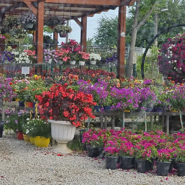 Eflatun Peyzaj - Photo 8