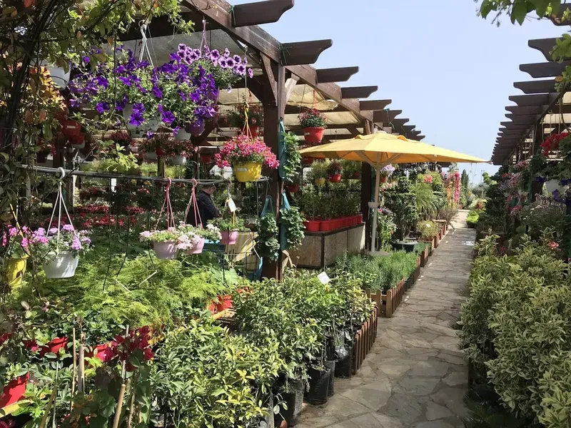 Eflatun Peyzaj - Photo 9