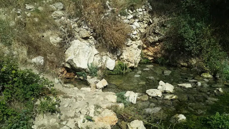 Eflatun Pınar Hitit Anıtı - Photo 9