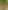 Ehil Tarım fotoğrafı