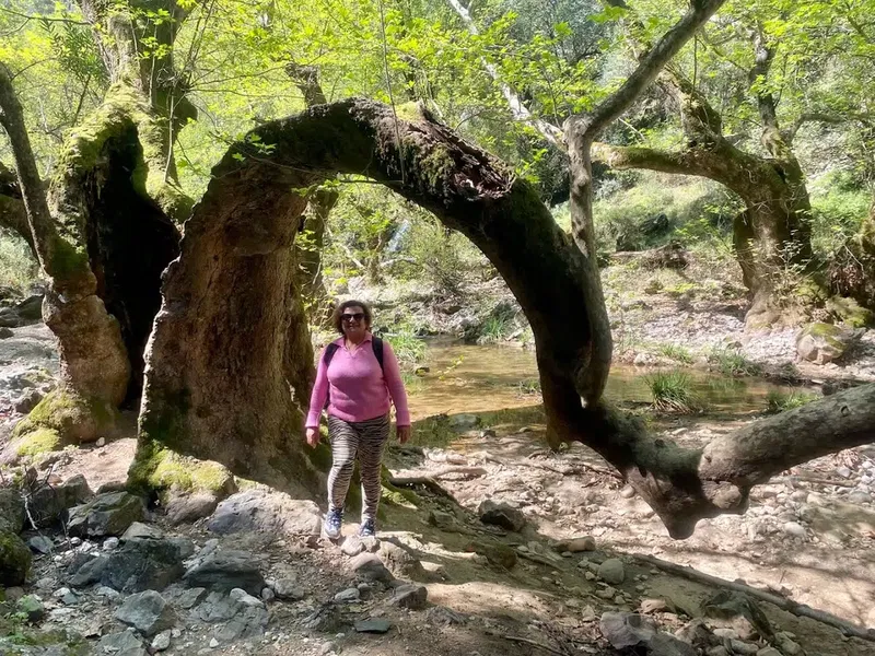 Ekşili Şelalesi - Photo 6