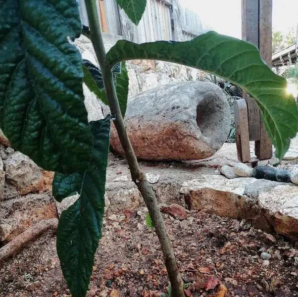 ELA Pansiyon - Photo 9