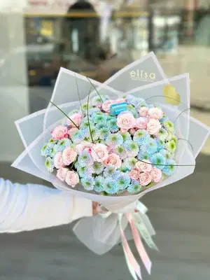 Elisa organizasyon