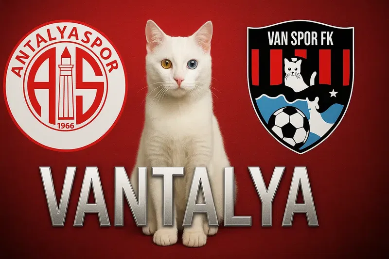Eli̇t Tekel Vantalya - Photo 3