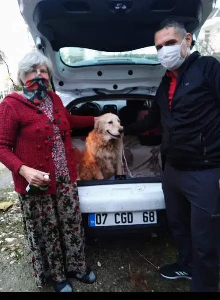 Elitpettransfer Antalya Pet Nakil Taşıma Şehirlerarası Evcil Hayvan Taşıma Antalya - Photo 3
