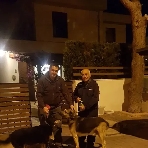 Elitpettransfer Antalya Pet Nakil Taşıma Şehirlerarası Evcil Hayvan Taşıma Antalya - Photo 5