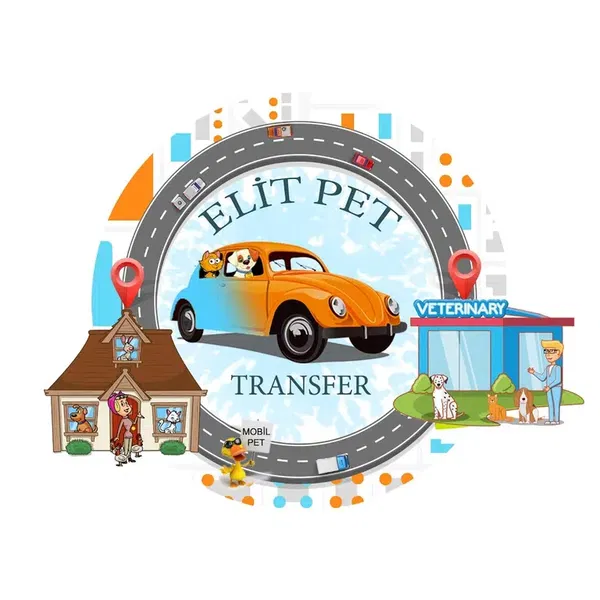 Elitpettransfer Antalya Pet Nakil Taşıma Şehirlerarası Evcil Hayvan Taşıma Antalya - Photo 7