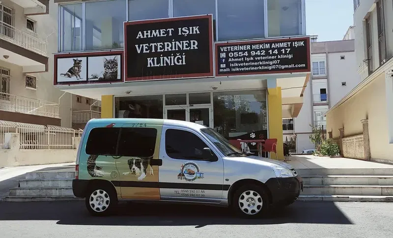 Elitpettransfer Antalya Pet Nakil Taşıma Şehirlerarası Evcil Hayvan Taşıma Antalya - Photo 8