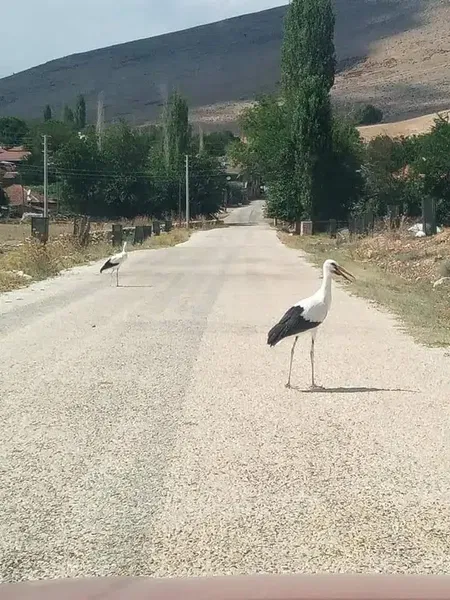 Elmalı Özdemir köyü ms. - Photo 8