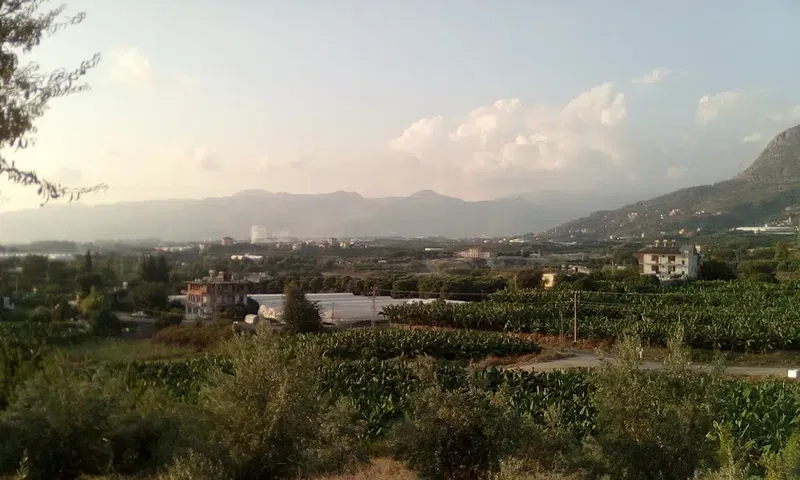 Emin Müftüoğlu Kız Kuran Kursu - Photo 3