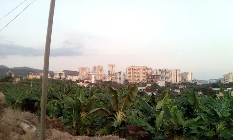 Emin Müftüoğlu Kız Kuran Kursu - Photo 4