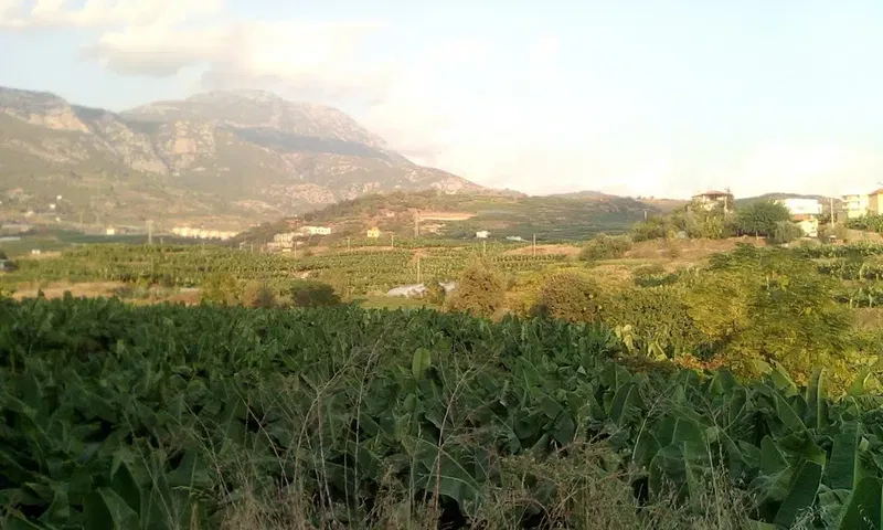 Emin Müftüoğlu Kız Kuran Kursu - Photo 5