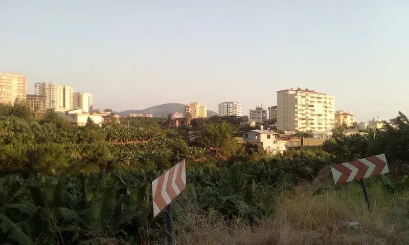 Emin Müftüoğlu Kız Kuran Kursu - Photo 8