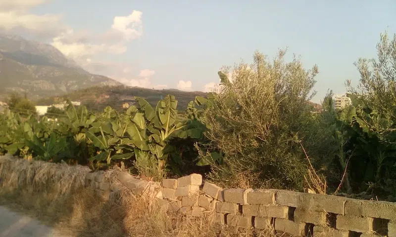 Emin Müftüoğlu Kız Kuran Kursu - Photo 9