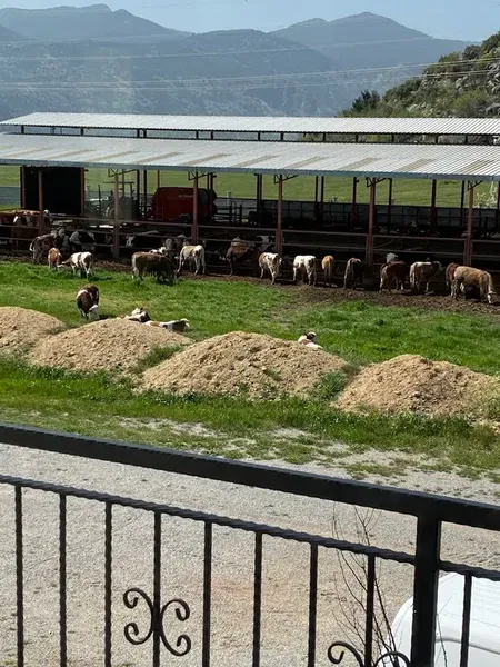 Eminoğlu Besi Çiftliği - Photo 3