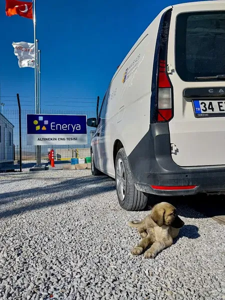 Enerya Altınekin CNG Tesisi - Photo 4