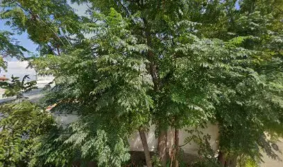 Engin Uzunlar Tarım