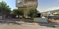 Ercan Veteriner Kliniği - Photo 6