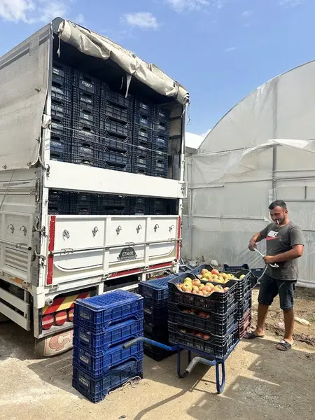 Erdem Tarim Üreti̇m Tesi̇sleri̇ - Photo 6