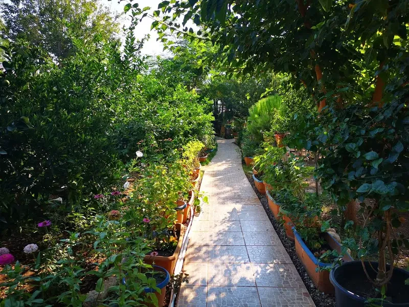 Erenler Otel - Photo 7