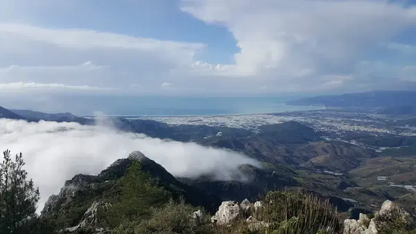 Erentepe Orman Gözetleme Kulesi