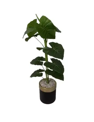Erhan Flowers