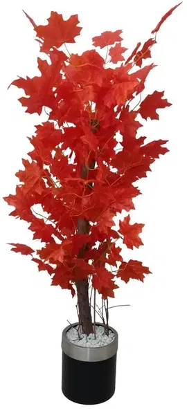 Erhan Flowers - Photo 5