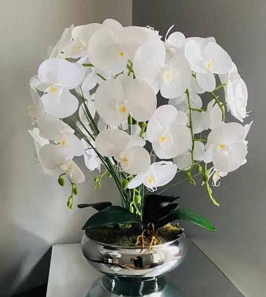 Erhan Flowers - Photo 8