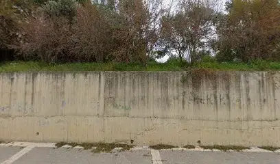 Erkek kuaförü