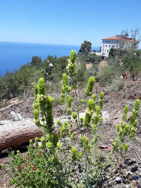 Erkek Öğrenci̇ Yurdu - Photo 1